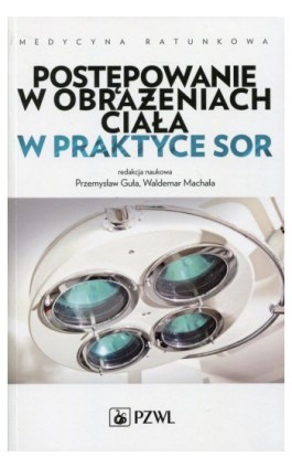 Postępowanie w obrażeniach ciała w praktyce SOR - Andrzej Basiński - Ebook - 978-83-200-5308-1