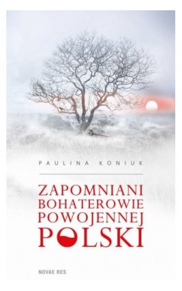 Zapomniani bohaterowie powojennej Polski - Paulina Koniuk - Ebook - 978-83-7942-420-7