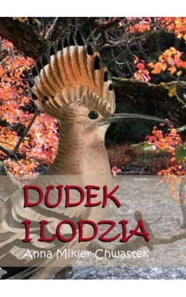 Dudek i Lodzia - Anna Mikler-Chwastek - Ebook - 978-83-7859-077-4