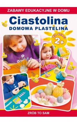 Ciastolina. Domowa plastelina - Joanna Paruszewska - Ebook - 978-83-7774-546-5