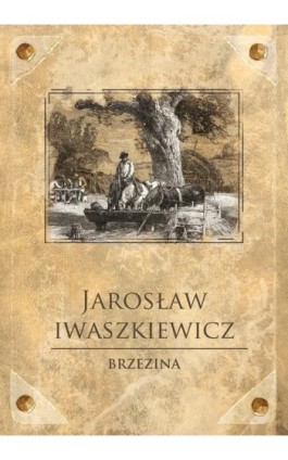 Brzezina - Jarosław Iwaszkiewicz - Ebook - 978-83-7699-188-7