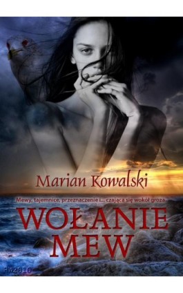 Wołanie mew - Marian Kowalski - Ebook - 978-83-63111-84-7