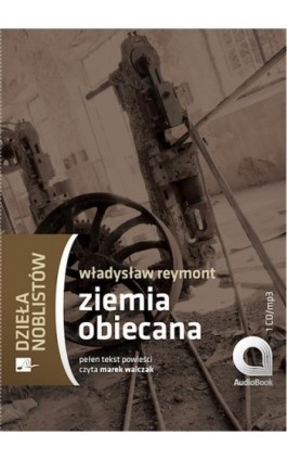 Ziemia obiecana - Władysław Stanisław Reymont - Audiobook - 978-83-60313-21-3