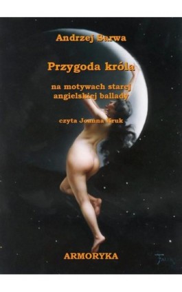 Przygoda króla - Andrzej Sarwa - Audiobook - 978-83-62661-55-8