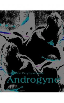 Androgyne - Stanisław Przybyszewski - Ebook - 978-83-7950-172-4