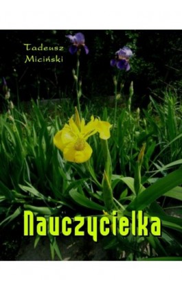 Nauczycielka - Tadeusz Miciński - Ebook - 978-83-7950-380-3