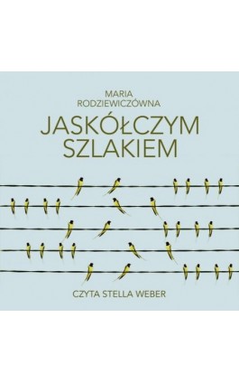 Jaskółczym szlakiem - Maria Rodziewiczówna - Audiobook - 978-83-7699-376-8