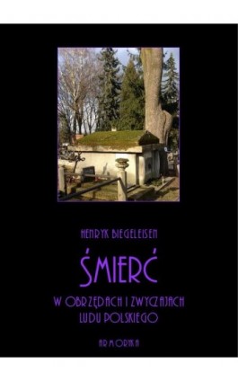 Śmierć w obrzędach i zwyczajach ludu polskiego - Henryk Biegeleisen - Ebook - 978-83-8064-364-2