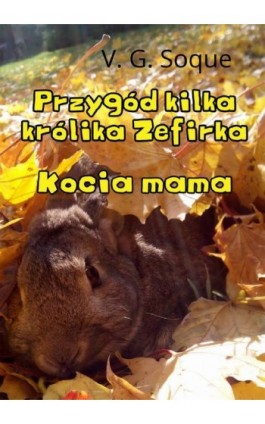 Przygód kilka królika Zefirka. Kocia mama - V.G. Soque - Ebook - 978-83-7859-660-8