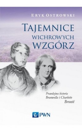 Tajemnice wichrowych wzgórz - Eryk Ostrowski - Ebook - 978-83-01-19272-3