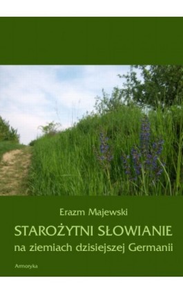 Starożytni Słowianie na ziemiach dzisiejszej Germanii - Erazm Majewski - Ebook - 978-83-8064-068-9