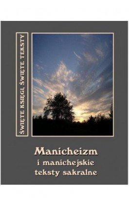 Manicheizm i manichejskie teksty sakralne - Andrzej Sarwa - Ebook - 978-83-7950-019-2