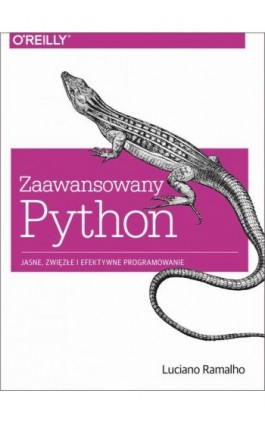 Zaawansowany Python - Luciano Ramalho - Ebook - 978-83-7541-223-9