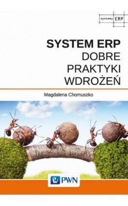 System ERP - Dobre praktyki wdrożeń - Magdalena Chomuszko - Ebook - 978-83-01-18764-4