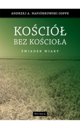 Kościół bez kościoła - Andrzej Napiórkowski - Ebook - 978-83-7720-127-5