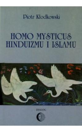 Homo mysticus hinduizmu i islamu - Piotr Kłodkowski - Ebook - 978-83-8002-291-1