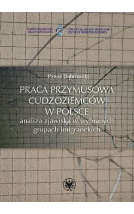 Praca przymusowa cudzoziemców w Polsce - Paweł Dąbrowski - Ebook - 978-83-235-1436-7
