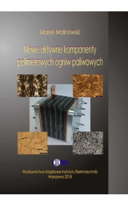 Nowe aktywne komponenty polimerowych ogniw paliwowych - Marek Malinowski - Ebook - 978-83-61956-56-3