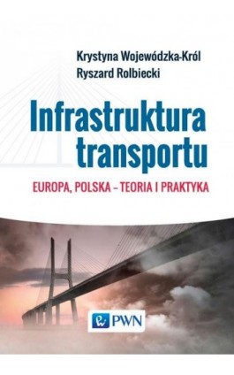 Infrastruktura transportu - Krystyna Wojewódzka-Król - Ebook - 978-83-01-19845-9