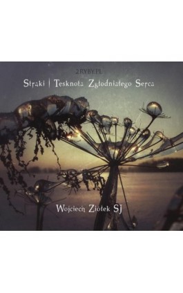 Strąki – tęsknota zgłodniałego serca - Wojciech Ziółek - Audiobook - 978-83-944687-5-0