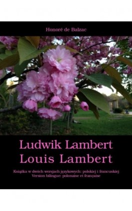 Ludwik Lambert. Louis Lambert - Honoré de Balzac - Ebook - 978-83-8064-071-9