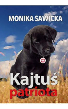 Kajtuś patriota - Monika Sawicka - Ebook - 978-83-7859-943-2