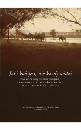 Jaki jest koń, nie każdy widzi - Ebook - 978-83-7865-681-4