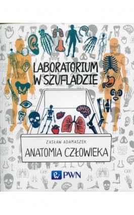 Laboratorium w szufladzie. Anatomia człowieka - Zasław Adamaszek - Ebook - 978-83-01-20011-4