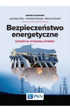 Bezpieczeństwo energetyczne - Ebook - 978-83-01-19889-3