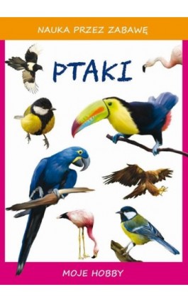 Ptaki - Beata Guzowska - Ebook - 978-83-8114-747-7