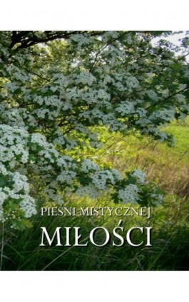 Pieśni mistycznej miłości - Antologia - Ebook - 978-83-8064-731-2