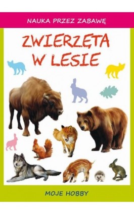 Zwierzęta w lesie - Beata Guzowska - Ebook - 978-83-8114-773-6