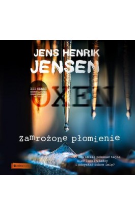 Zamrożone płomienie - Jens Henrik Jensen - Audiobook - 978-83-283-5763-1