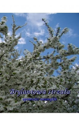 Brylantowa strzała. Opowieści niezwykłe - Antologia - Ebook - 978-83-8064-729-9