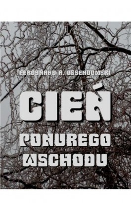 Cień ponurego Wschodu. Za kulisami życia rosyjskiego - Antoni Ferdynand Ossendowski - Ebook - 978-83-8064-738-1