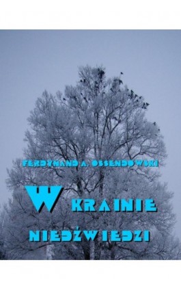 W krainie niedźwiedzi - Antoni Ferdynand Ossendowski - Ebook - 978-83-8064-748-0