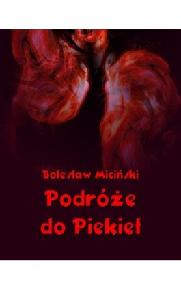 Podróże do piekieł - Bolesław Miciński - Ebook - 978-83-7950-648-4
