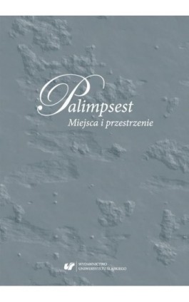 Palimpsest. Miejsca i przestrzenie - Ebook - 978-83-226-3402-8