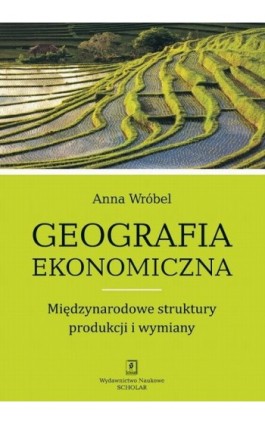 Geografia ekonomiczna. Międzynarodowe struktury produkcji i wymiany - Anna Wróbel - Ebook - 978-83-7383-541-2