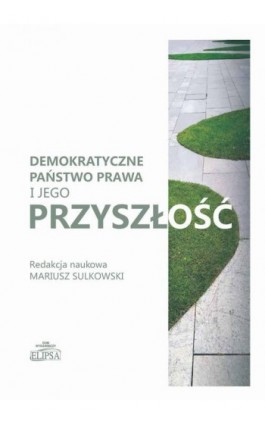 Demokratyczne państwo prawa i jego przyszłość - Ebook - 9788380172296