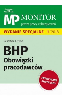 BHP Obowiązki pracodawców - Sebastian Kryczka - Ebook - 978-83-8137-391-3