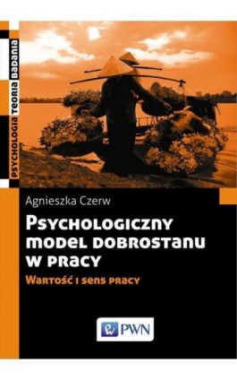 Psychologiczny model dobrostanu w pracy - Agnieszka Czerw - Ebook - 978-83-01-19363-8