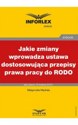 Jakie zmiany wprowadza ustawa dostosowująca przepisy prawa pracy do RODO - Małgorzata Mędrala - Ebook - 978-83-8137-506-1