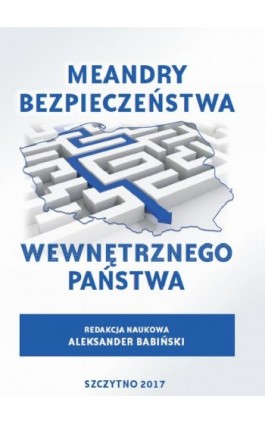 Meandry bezpieczeństwa wewnętrznego państwa - Ebook - 978-83-7462-561-6