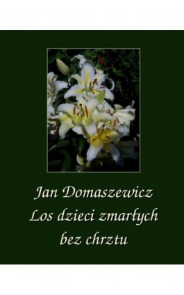 Los dzieci zmarłych bez chrztu - Jan Domaszewicz - Ebook - 978-83-8064-730-5