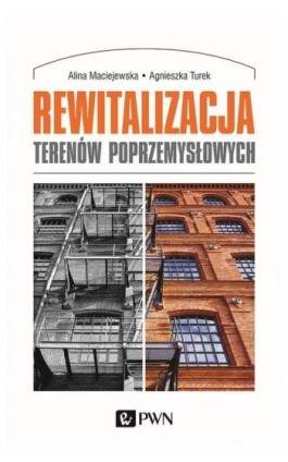 Rewitalizacja terenów poprzemysłowych - Alina Maciejewska - Ebook - 978-83-01-20697-0