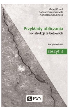 Przykłady obliczania konstrukcji żelbetowych. Zeszyt 3 - Michał Knauff - Ebook - 978-83-01-19633-2