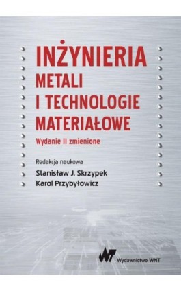 Inżynieria metali i technologie materiałowe - Ebook - 978-83-01-20648-2