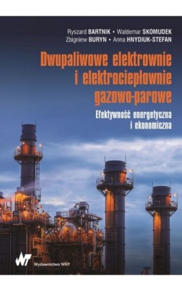 Dwupaliwowe elektrownie i elektrociepłownie gazowo-parowe - Ryszard Bartnik - Ebook - 978-83-01-20585-0