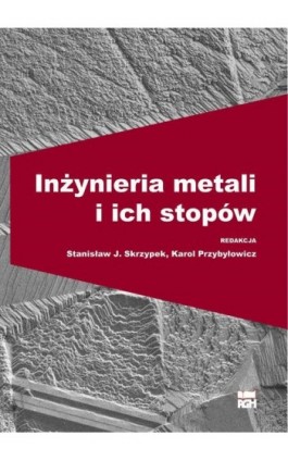 Inżynieria metali i ich stopów - Stanisław J. Skrzypek - Ebook - 978-83-66364-09-7